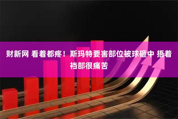 财新网 看着都疼！斯玛特要害部位被球砸中 捂着裆部很痛苦