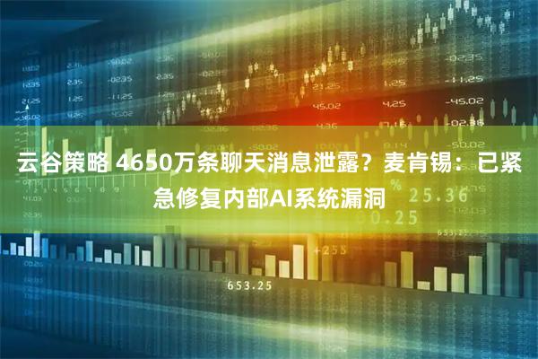 云谷策略 4650万条聊天消息泄露？麦肯锡：已紧急修复内部AI系统漏洞