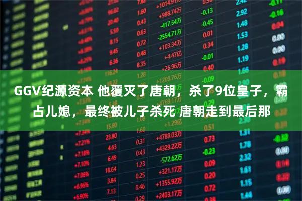 GGV纪源资本 他覆灭了唐朝，杀了9位皇子，霸占儿媳，最终被儿子杀死 唐朝走到最后那