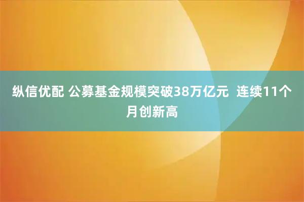 纵信优配 公募基金规模突破38万亿元  连续11个月创新高