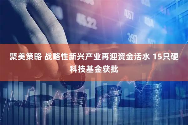 聚美策略 战略性新兴产业再迎资金活水 15只硬科技基金获批