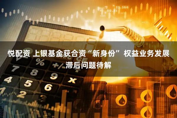 悦配资 上银基金获合资“新身份” 权益业务发展滞后问题待解