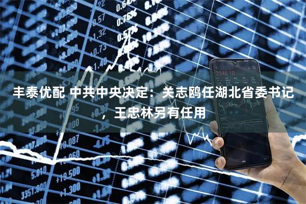 丰泰优配 中共中央决定：关志鸥任湖北省委书记，王忠林另有任用