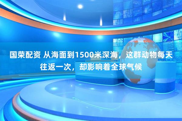 国荣配资 从海面到1500米深海,这群动物每天往返一次,却影响着全球气候
