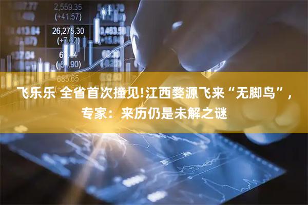 飞乐乐 全省首次撞见!江西婺源飞来“无脚鸟”,专家:来历仍是未解之谜