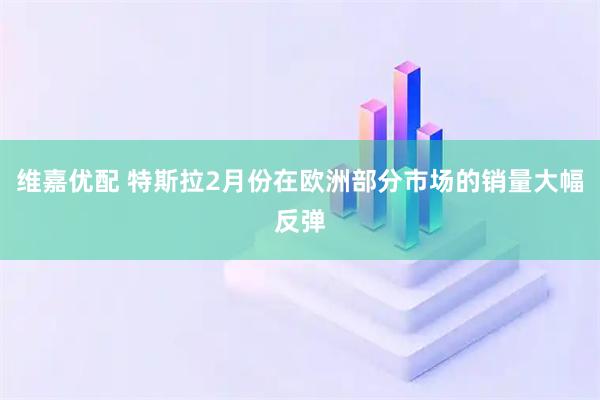 维嘉优配 特斯拉2月份在欧洲部分市场的销量大幅反弹