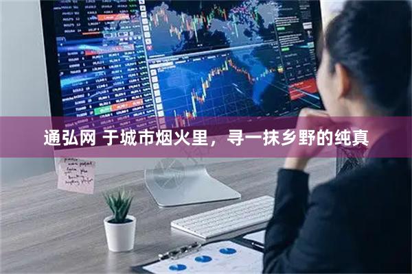 通弘网 于城市烟火里，寻一抹乡野的纯真