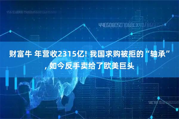 财富牛 年营收2315亿! 我国求购被拒的“轴承”, 如今反手卖给了欧美巨头