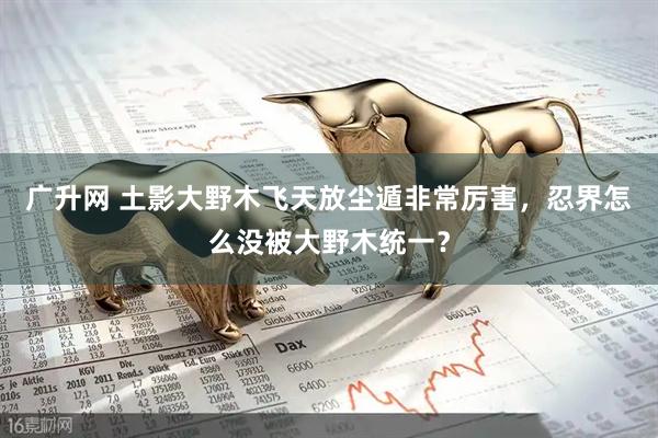 广升网 土影大野木飞天放尘遁非常厉害，忍界怎么没被大野木统一？