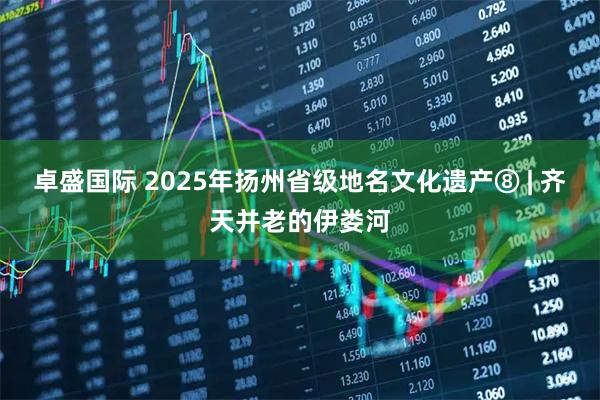 卓盛国际 2025年扬州省级地名文化遗产⑧ | 齐天并老的伊娄河