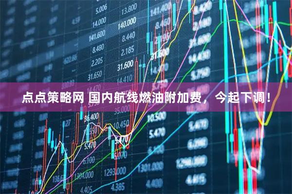 点点策略网 国内航线燃油附加费，今起下调！