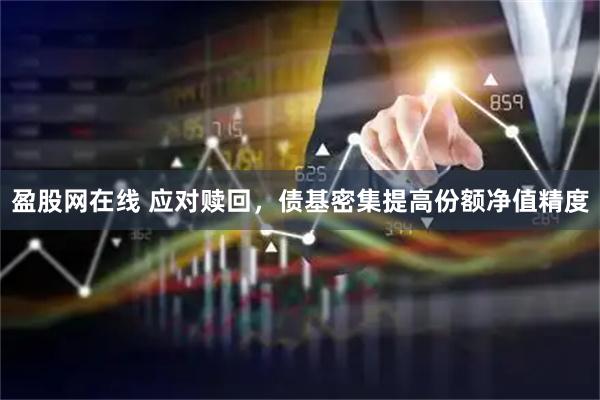 盈股网在线 应对赎回，债基密集提高份额净值精度