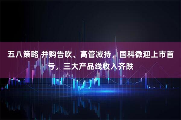 五八策略 并购告吹、高管减持，国科微迎上市首亏，三大产品线收入齐跌