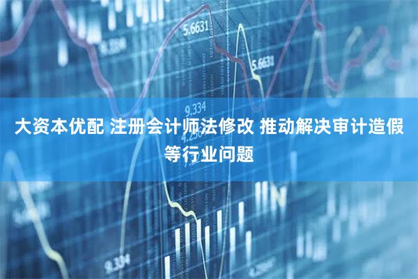 大资本优配 注册会计师法修改 推动解决审计造假等行业问题