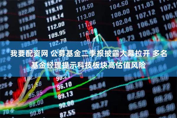 我要配资网 公募基金二季报披露大幕拉开 多名基金经理提示科技板块高估值风险