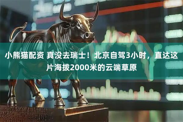 小熊猫配资 真没去瑞士！北京自驾3小时，直达这片海拔2000米的云端草原