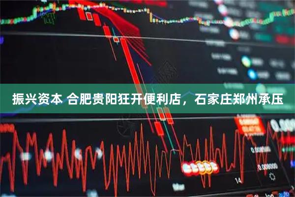 振兴资本 合肥贵阳狂开便利店，石家庄郑州承压