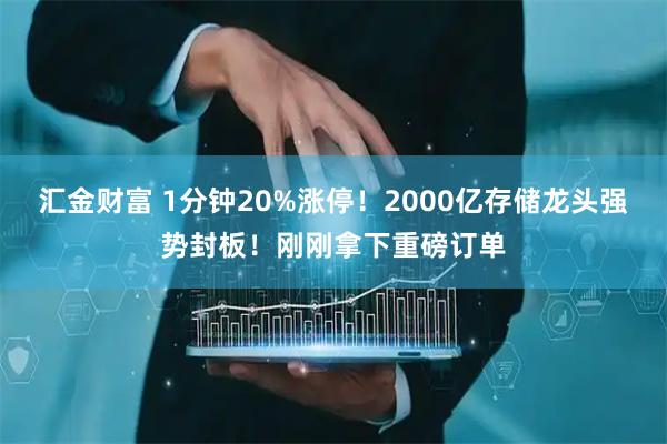 汇金财富 1分钟20%涨停!2000亿存储龙头强势封板!刚刚拿下重磅订单